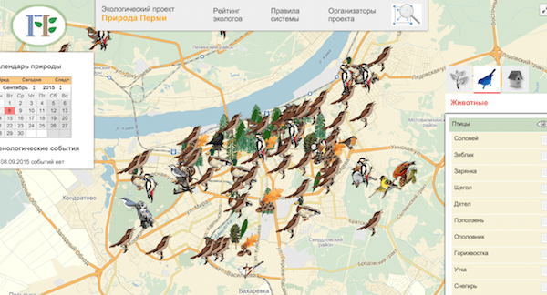 Запущен интерактивный сервис «Природа Перми», который поможет узнать о животном и растительном мире города