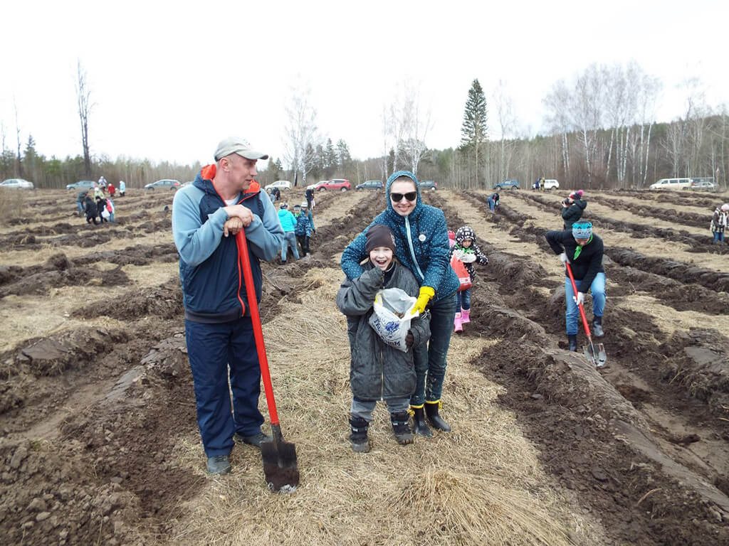 Волонтеры сообщества сажают дубы. Фото: Зеленый Паровоз.