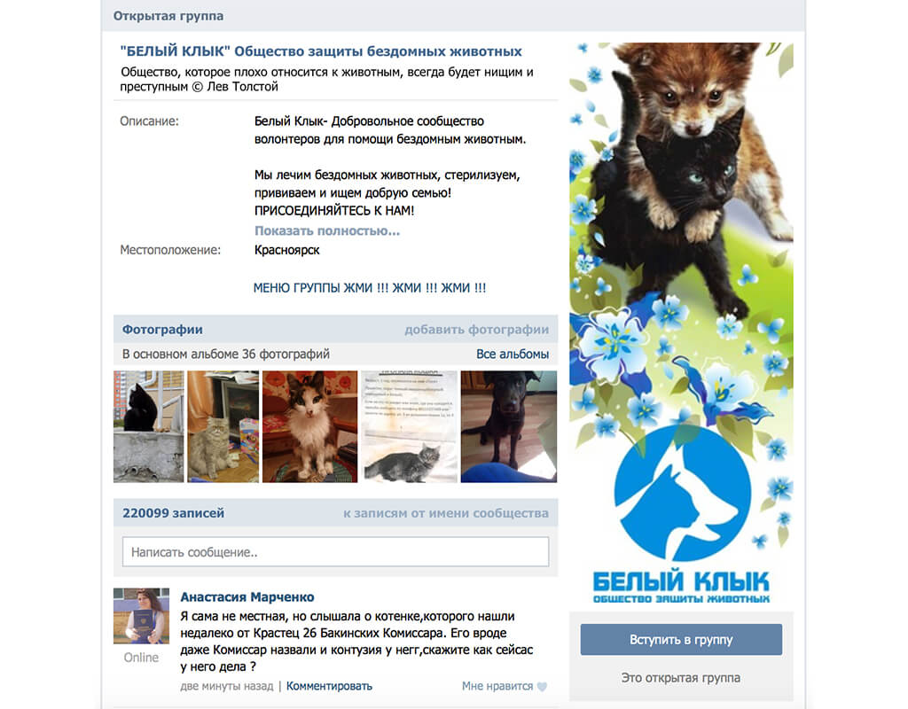 Группа сообщества "Белый клык" Вконтакте. Фото: Белый клык.