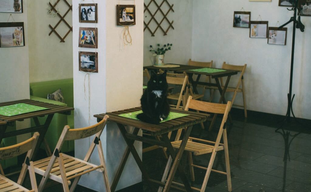 Интерьер тайм-кафе MURZIK в Самаре.Фото: Марья Станкевич, из архива группы тайм-кафе ВКонтакте.