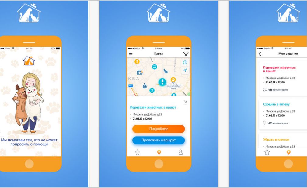 «Помощник РЭЙ» ‒ мобильное приложение, которое подскажет вам, как помочь бездомным животным