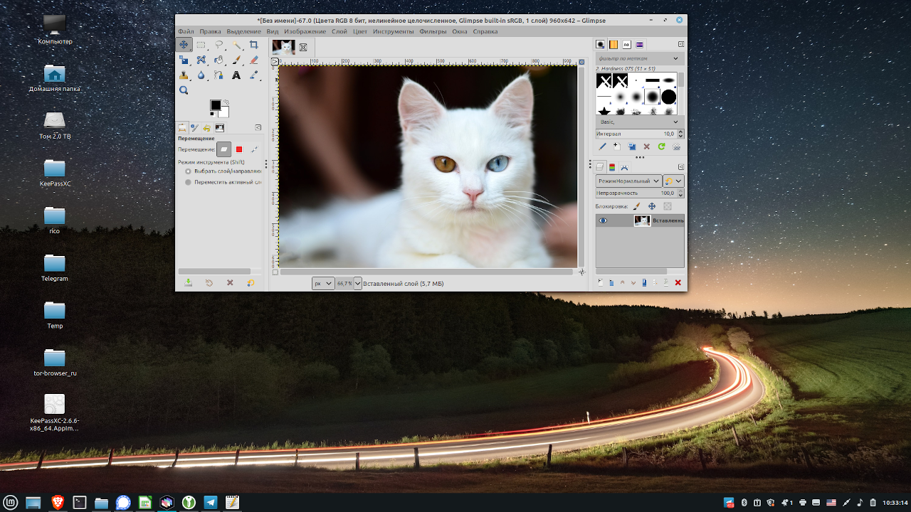 Linux Mint и окно редактора Glimpse